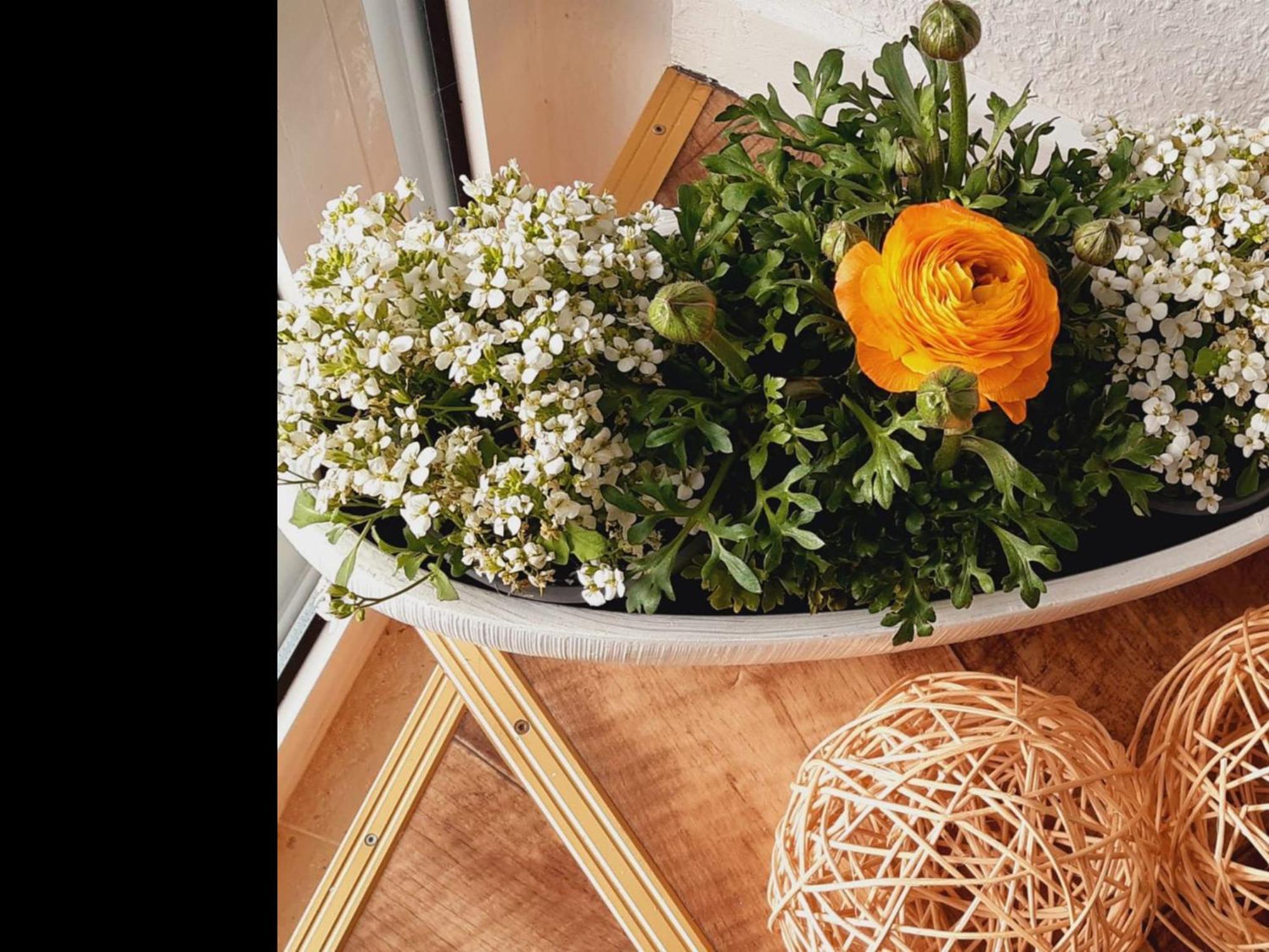 Neu Ferienwohnung Walsrode Bagian luar foto